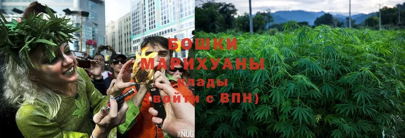 Канабис OG Kush  купить наркоту  Бабаево 